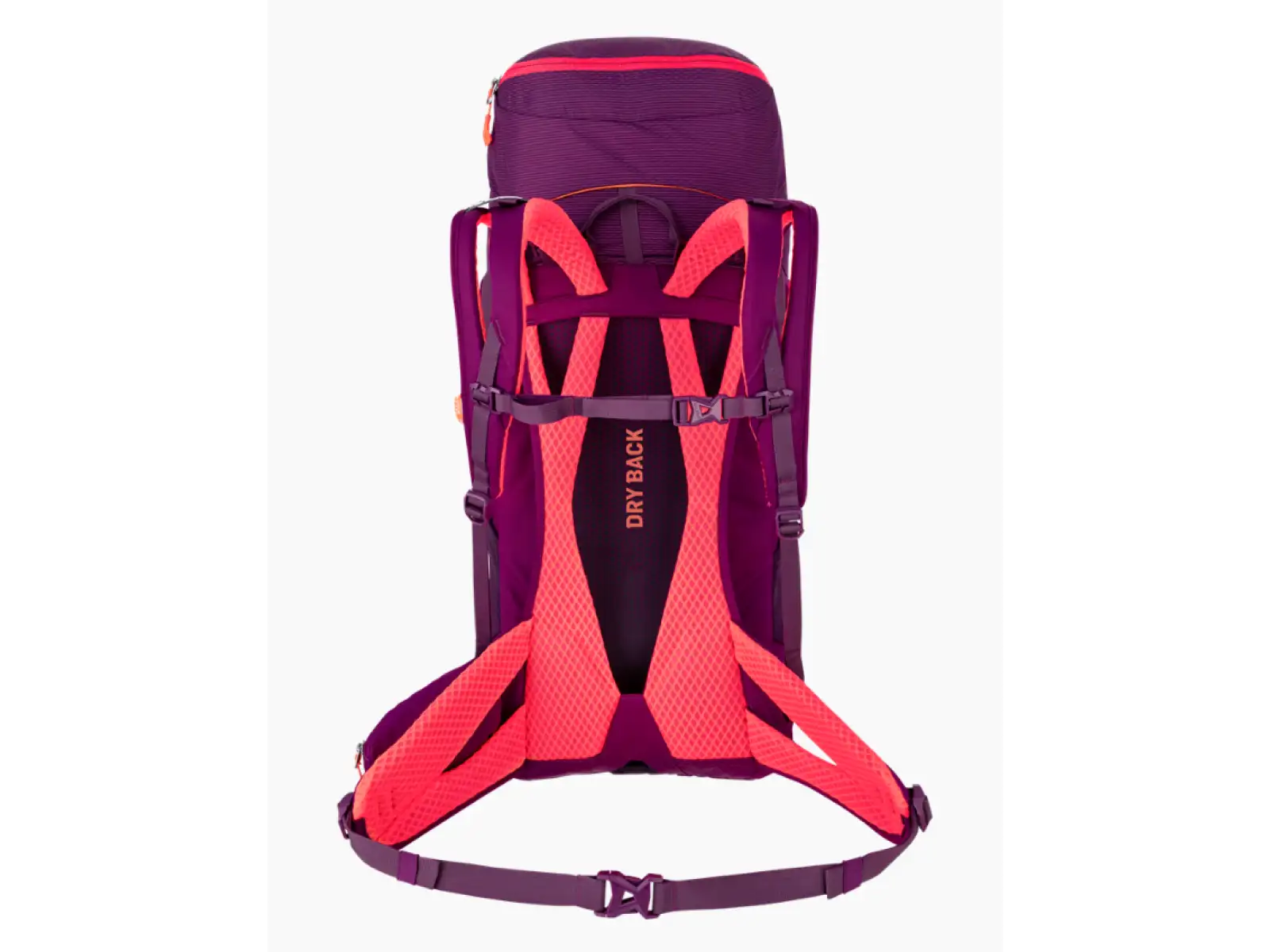 Salewa Alp Trainer 30 l + 3 l Damenrucksack Syrah