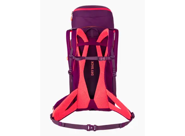 Salewa Alp Trainer 30 l + 3 l Damenrucksack Syrah