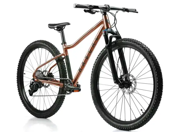 Rascal Wild 29 Kinderfahrrad Bronze