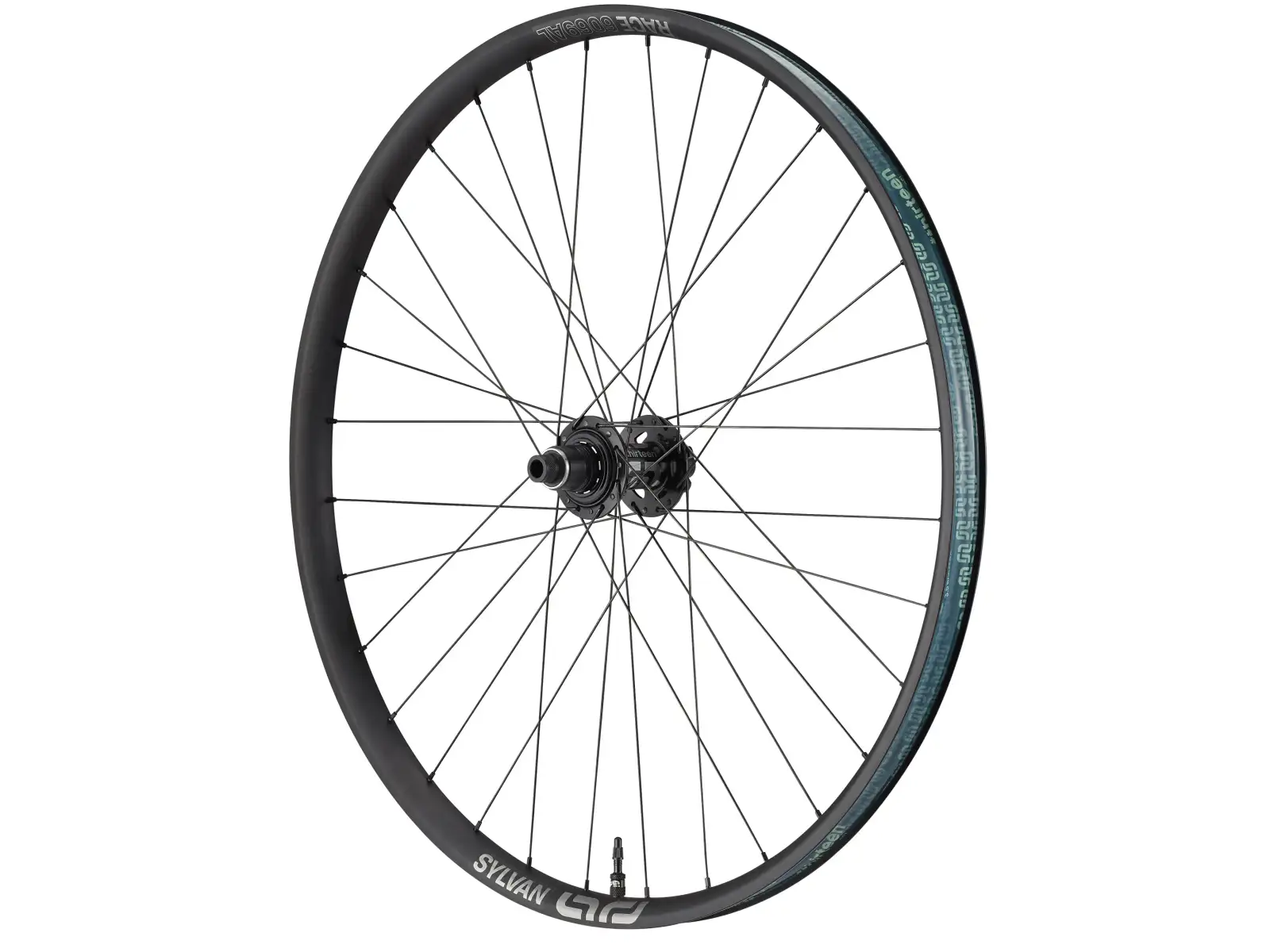 E-13 Sylvan Race Alloy E-Spec Super Boost 29" Hinterrad mit XD Black Nabe.