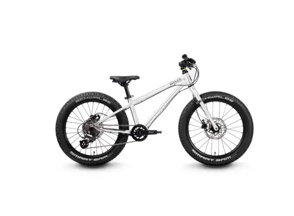 Early Rider Seeker 20 Brushed Kinderfahrrad 2025