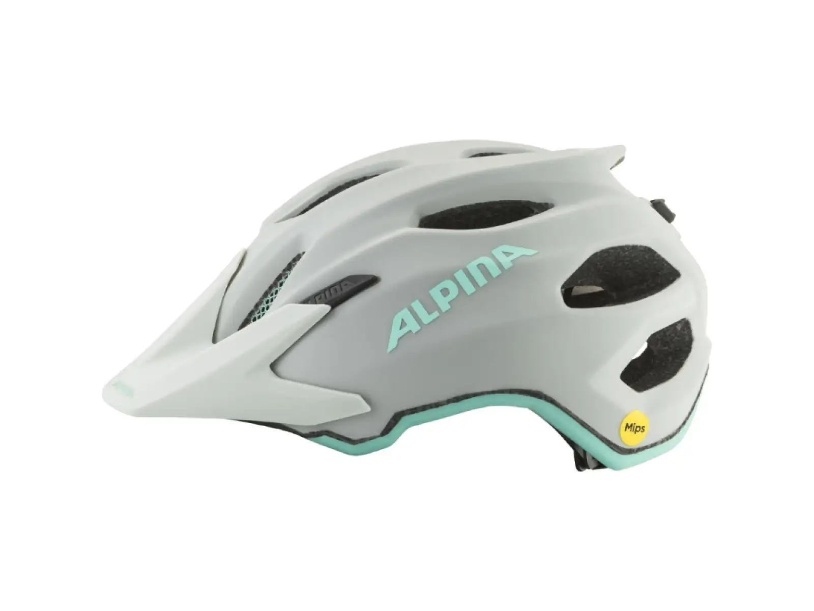 Alpina Apax JR. MIPS Smoke/Grey Turquoise Matt