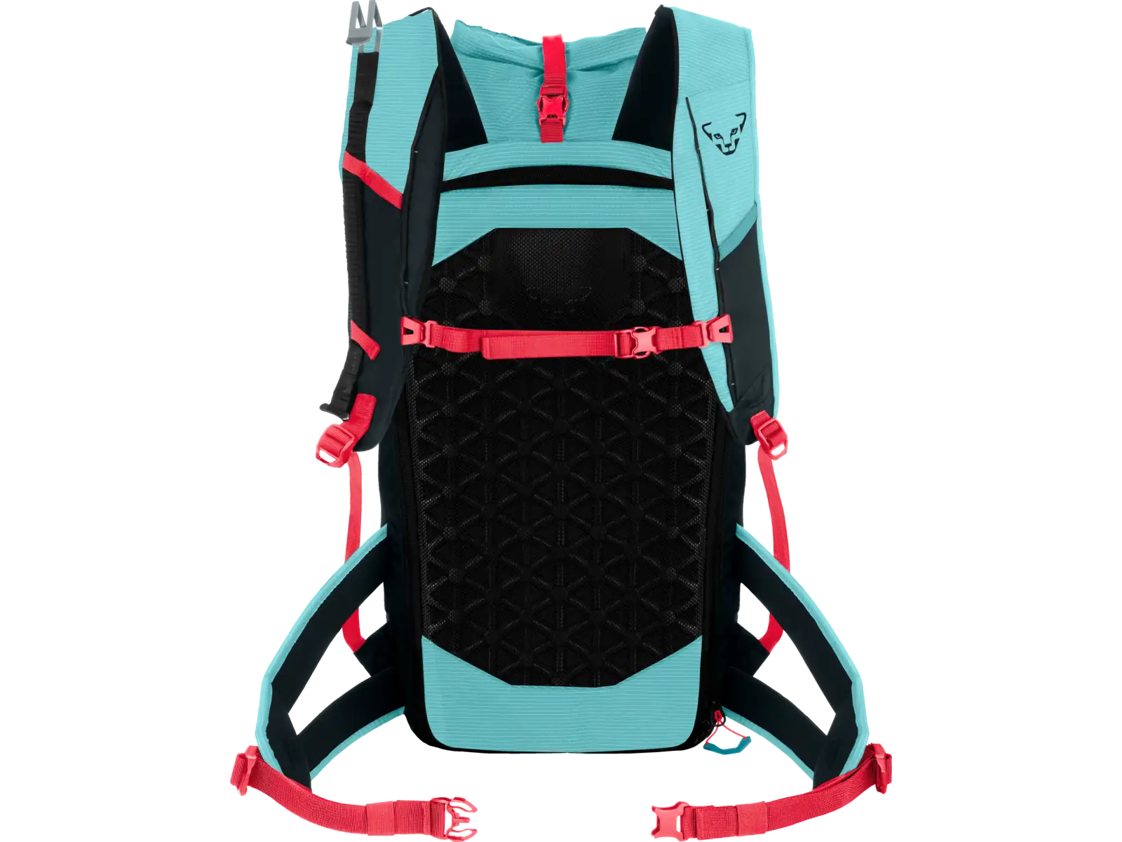 Dynafit Radical 30+ Damenrucksack 30 l Marineblau/Heidelbeere