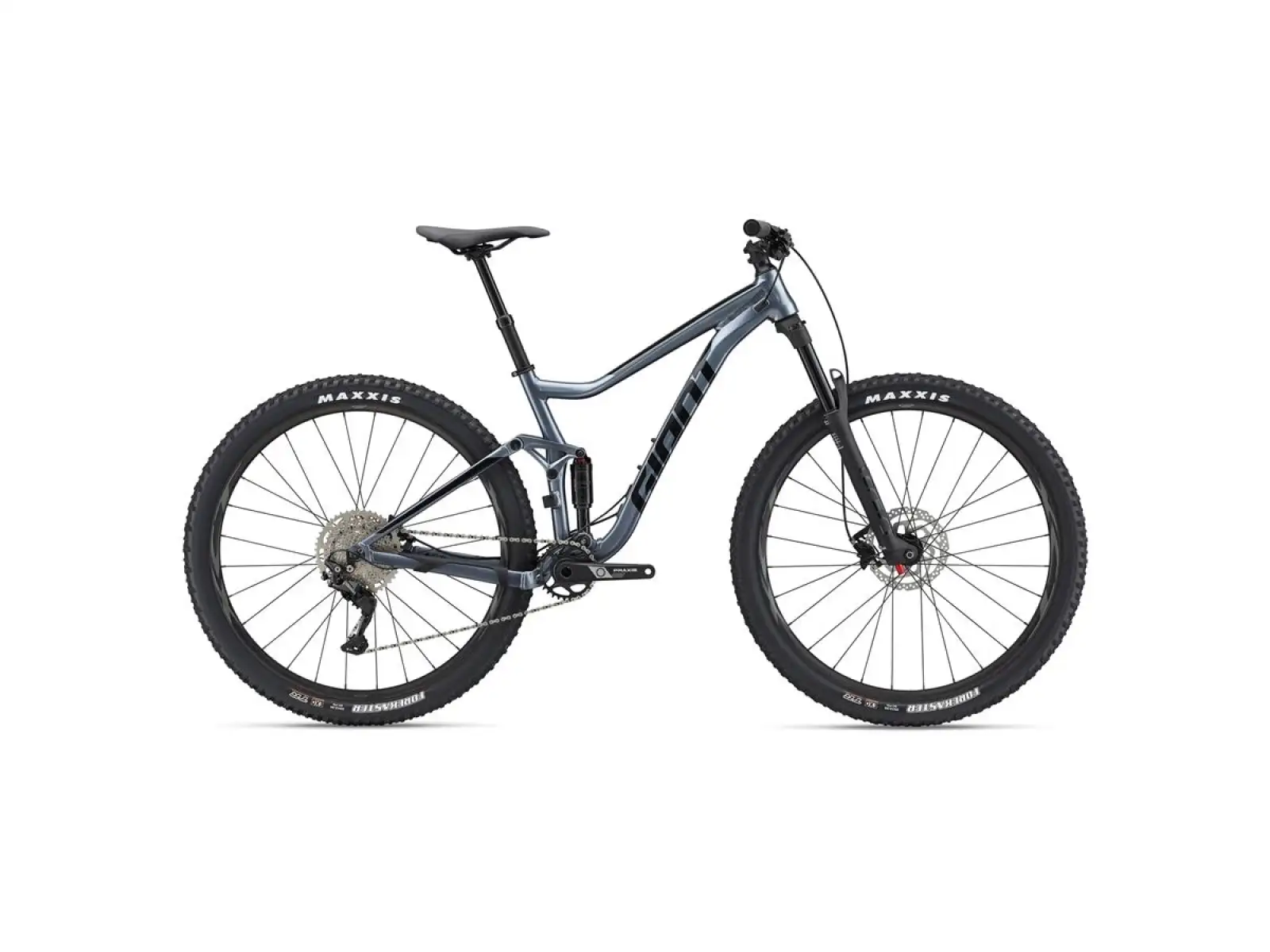 Giant Stance 29 2 mountain bike Ritterschild