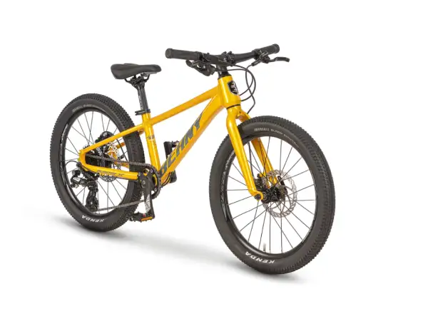 Beany Blaster XC 20 Kinderfahrrad Gold