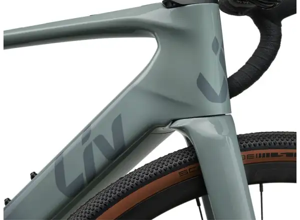 Liv Avail Advanced E+ Elite AR Renn-E-Bike Eucalyptus/Ocean Storm