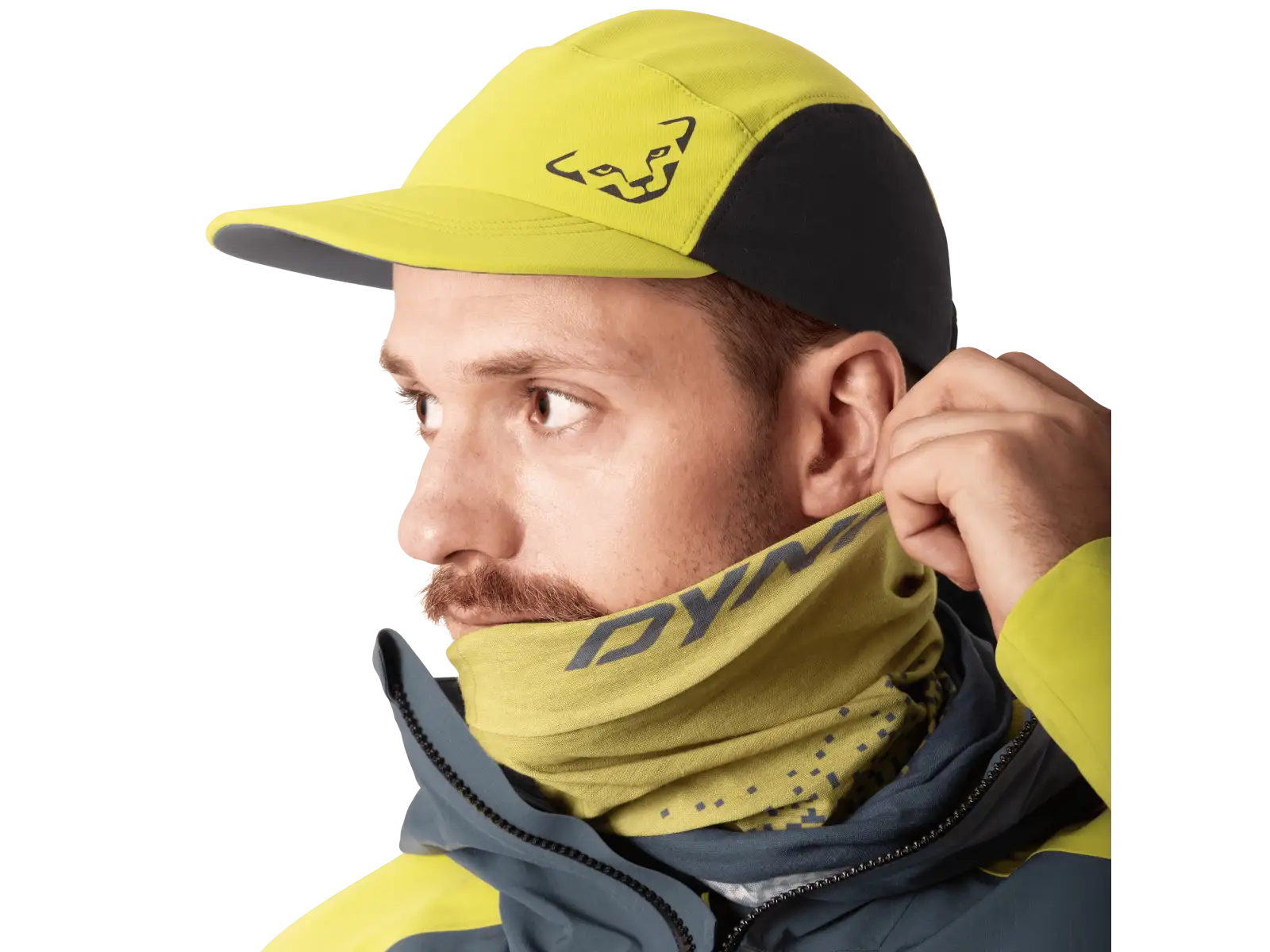 Dynafit Graphic Neck Gaiter Halswärmer Golden Lime/Gradient