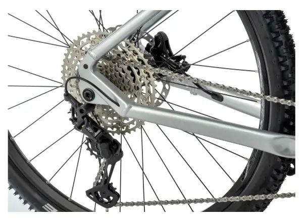 Apache Hupahu 1 E-Mountainbike (Bosch 1000 Wh) Silber