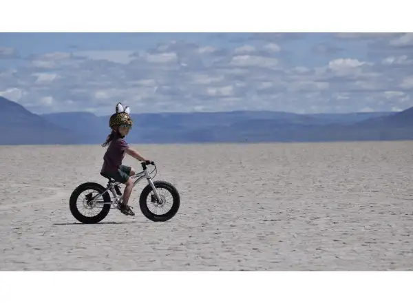 Early Rider Seeker X16 Kinderfahrrad Violett Haze