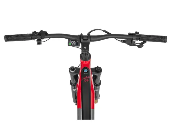 Ecobike RX 500 960 Wh schwarz rotes Mountain E-Bike