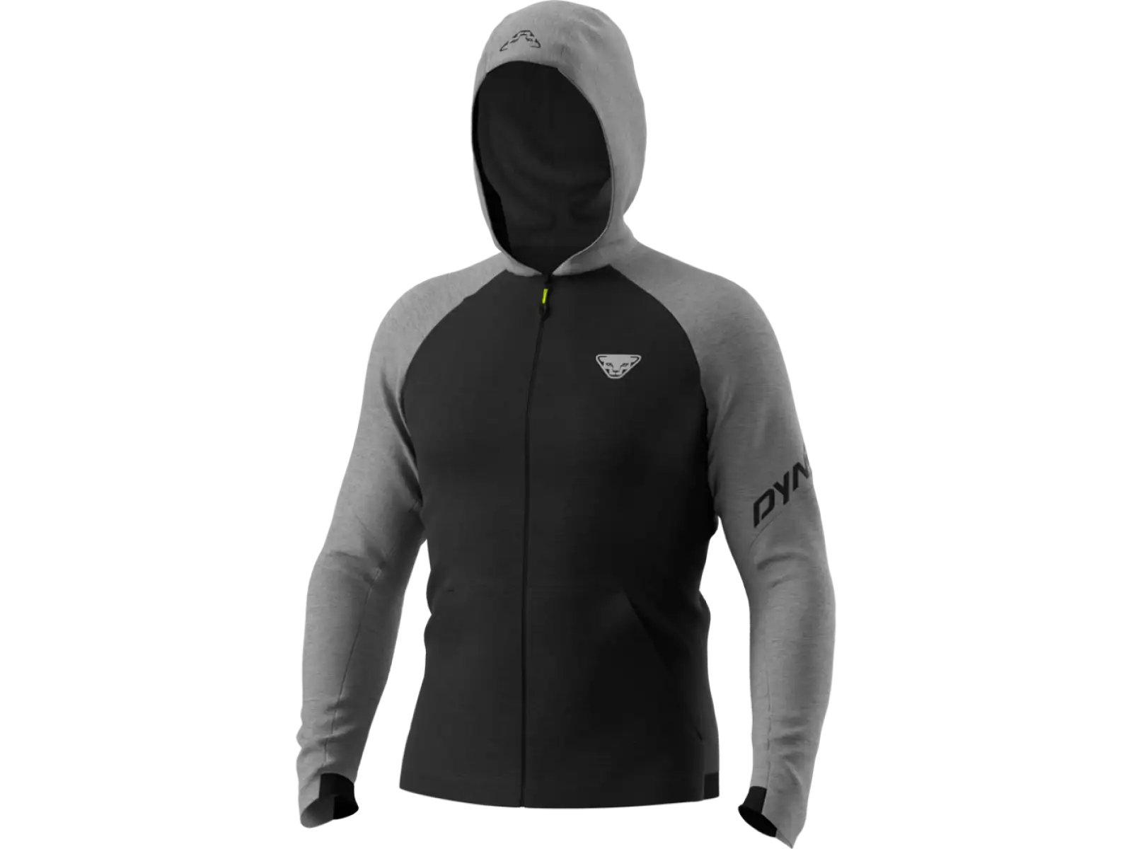 Dynafit 24/7 Polartec Herren-Kapuzenpullover in Legierungsfarbe