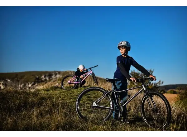 Rascal 26 7-Gang Shimano Nexus Kinderfahrrad in Titanium