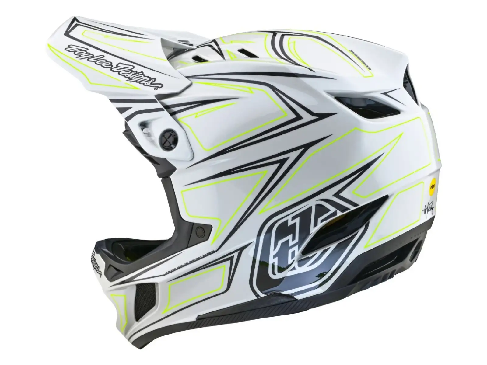 Troy Lee Designs D4 Composite MIPS Pinned Helm Light Gray