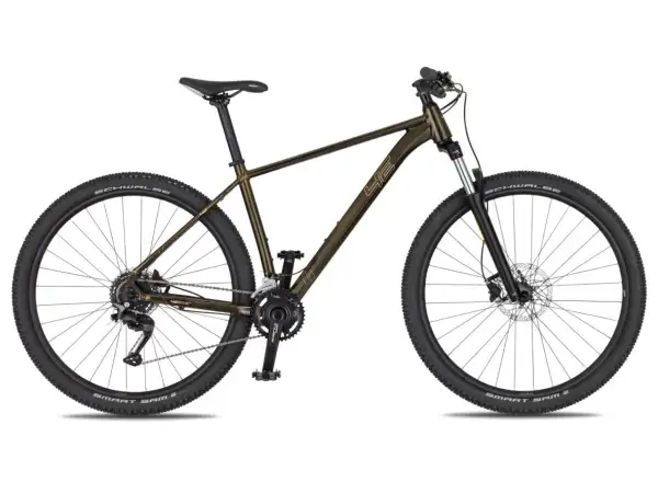 4Ever Frontbee XCM 29" Mountainbike Gold galaxy