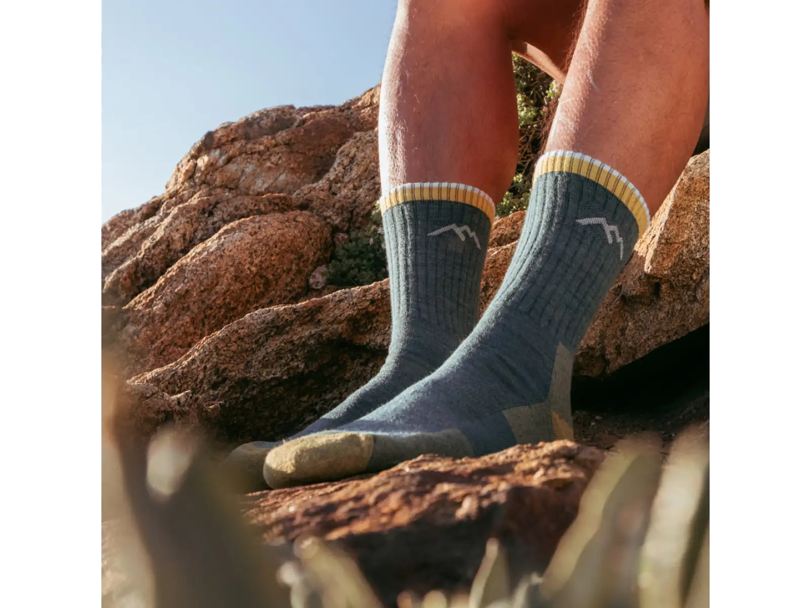 Darn Tough Hiker Micro Crew Midweight Cushion Herrensocken Spruce