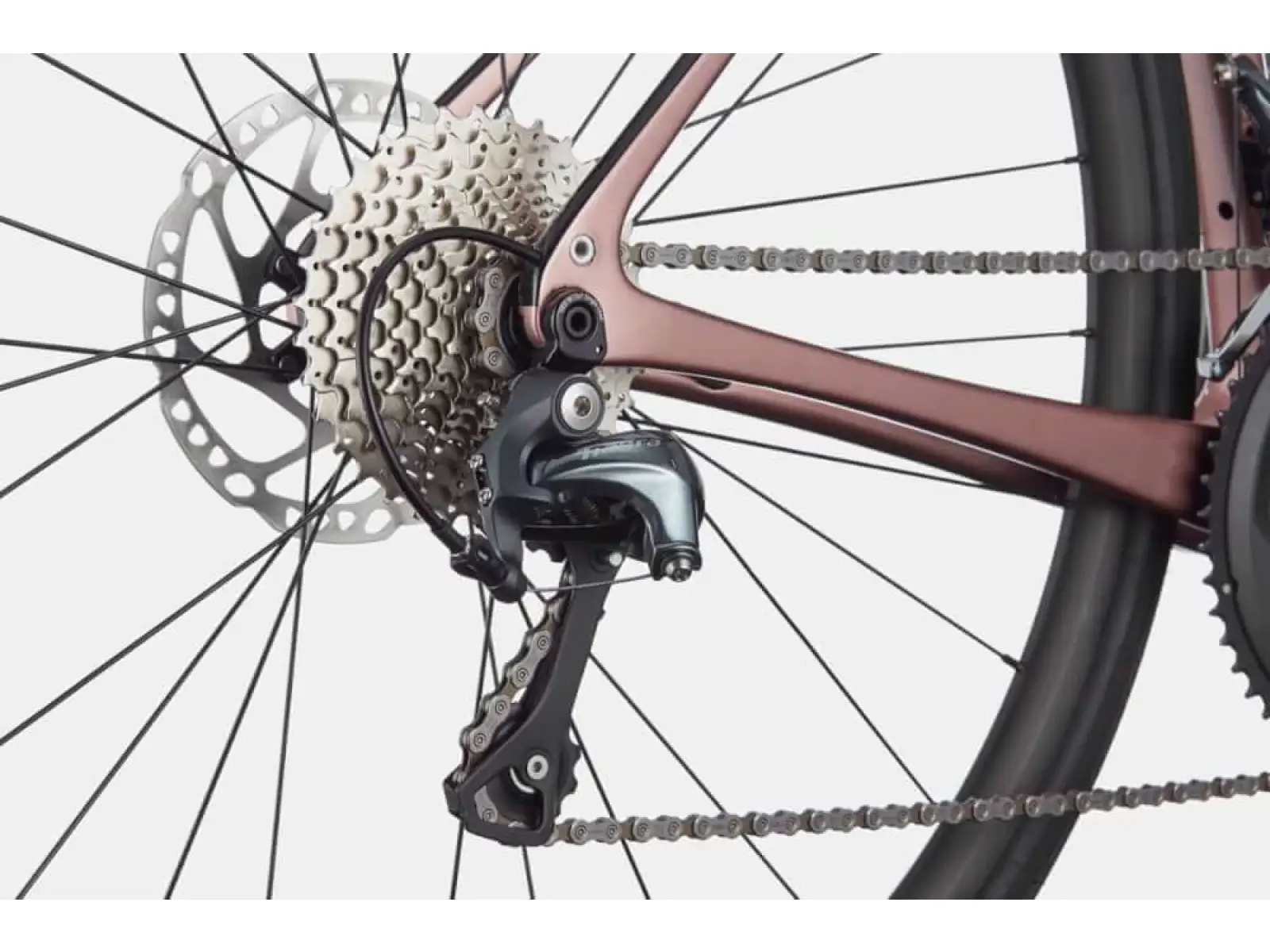 Cannondale Synapse Carbon 4 RGD Rennrad