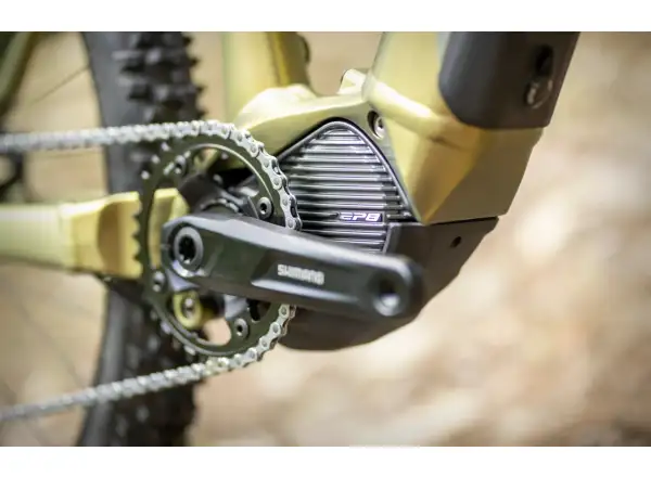 Superior eXP 8089 elektrisches Mountainbike Matte Olive Metallic/Chrome Silver