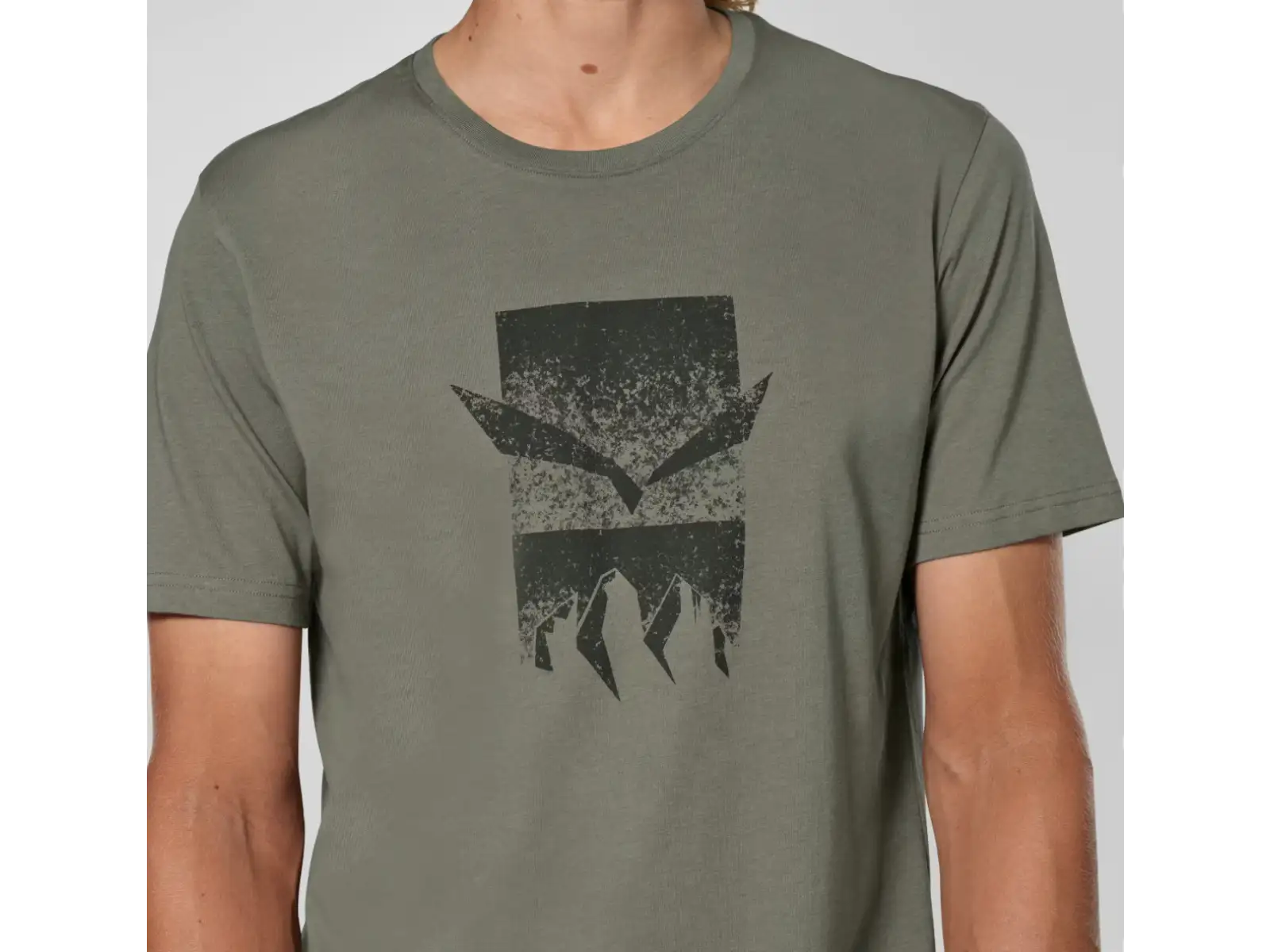 Salewa Eagle 3 Cime Herren T-Shirt Kurzarm Faded Green