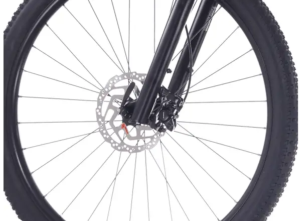 Rock Machine Blizz 30 Mountainbike 29" Gloss Limerock Grey