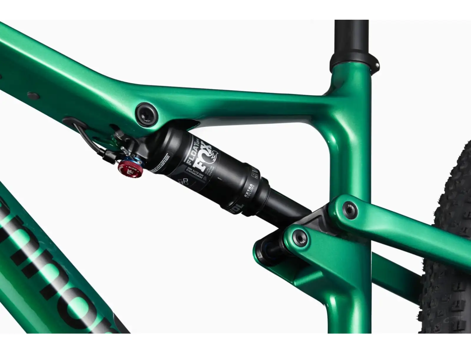 Cannondale Scalpel Carbon 4 29" JNG Mountainbike