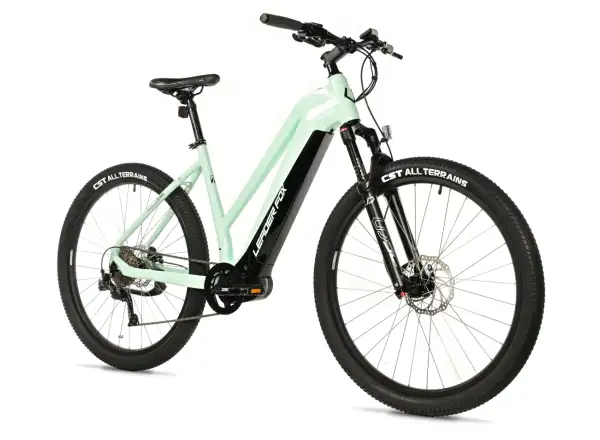 Leader Fox Swan 29 720Wh Damen E-Mountainbike grün