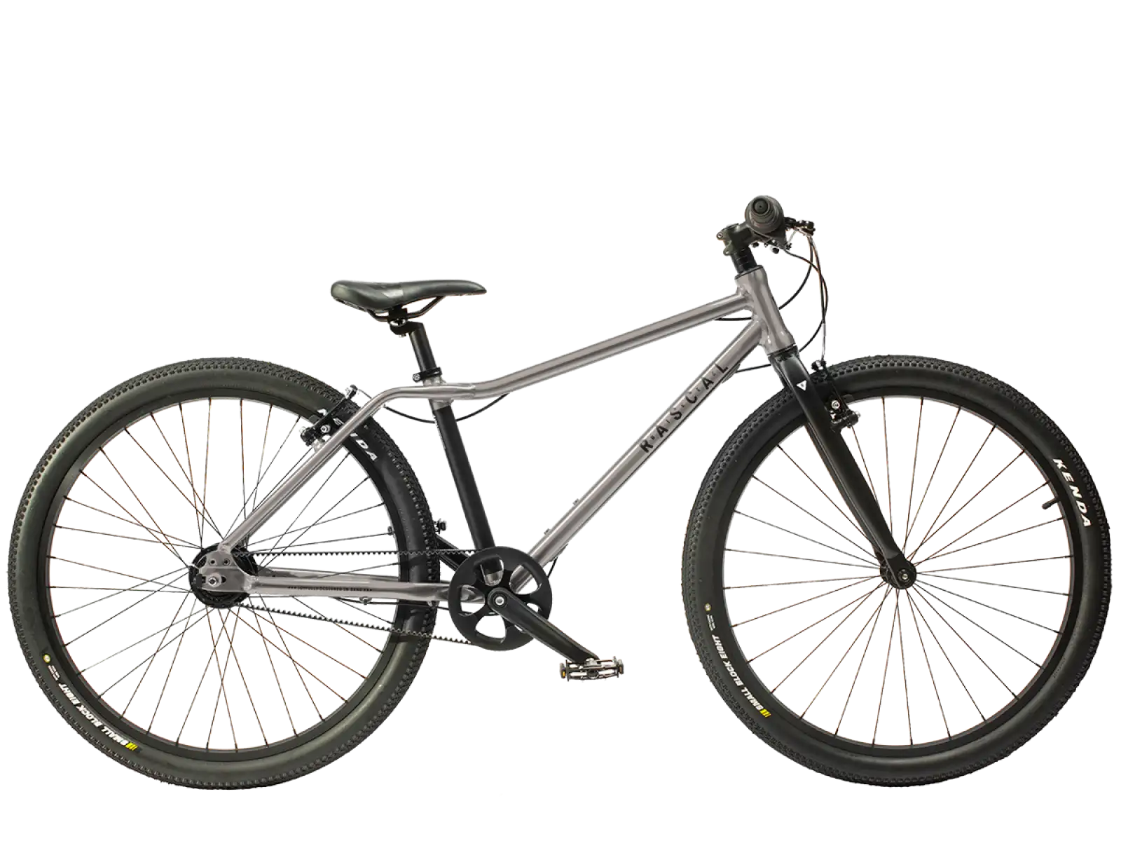 Rascal 26 7-Gang Shimano Nexus Kinderfahrrad in Titanium
