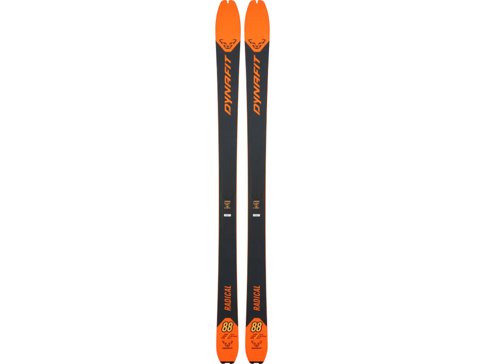 Dynafit Radical 88 Limited Edition Tourenski Dawn