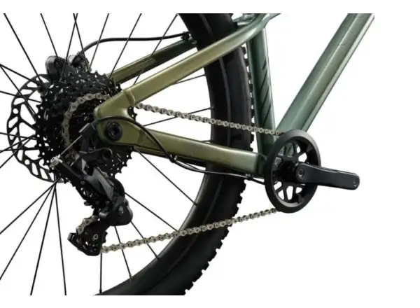 Liv STP 24 Kinder-Mountainbike Alpine Green