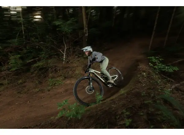 Ich habe ein Ibis Ripmo V3 Deore XT Mountainbike in der Olive Swamp Monster Farbe.