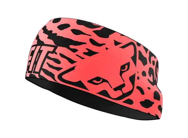 Dynafit Graphic Performance Stirnband Cabana/Gradient