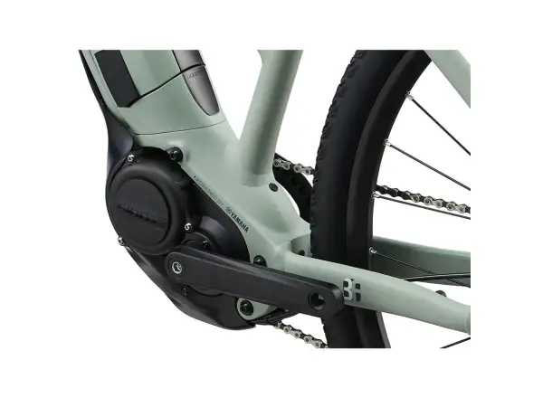 Liv Rove E+ Damen E-Bike Laurel