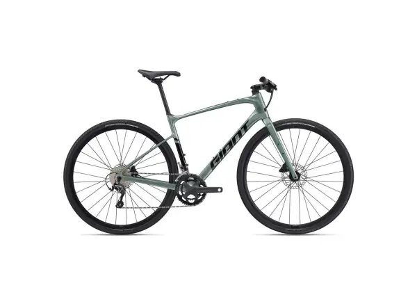 Giant FastRoad AR Advanced 2 Fitnessbike Nebelwald