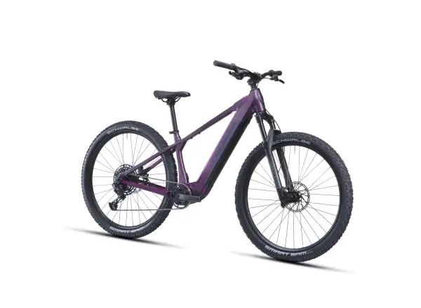 Crussis e-Fionna AX 9.12-M2(800) Mountain E-Bike