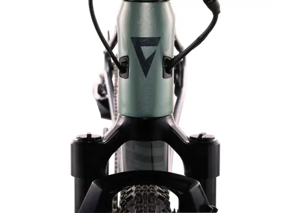 Giant Revolt X Advanced Pro 2 Schotterrad Nebelwald