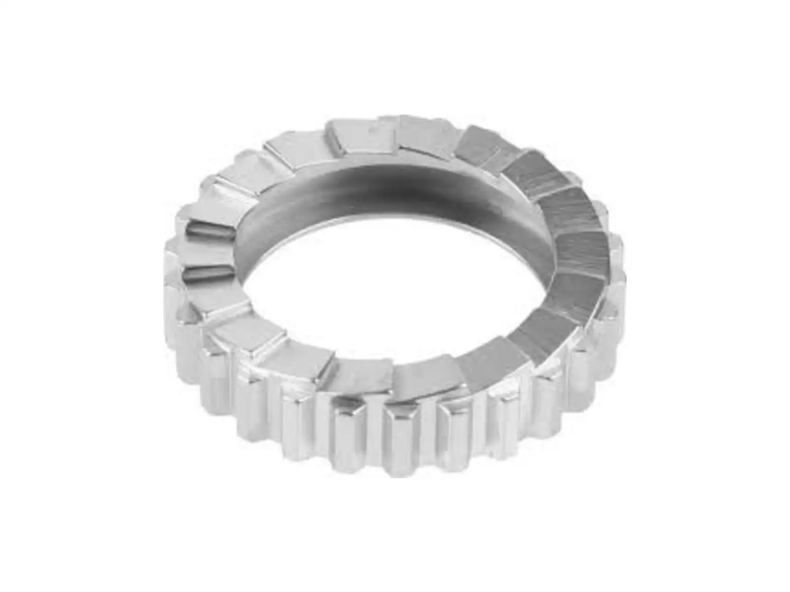 DT Swiss Zähne SL 18z Ratchet