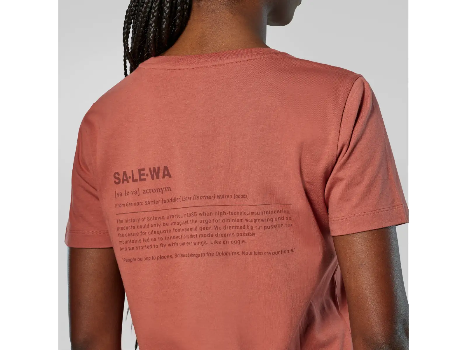 Salewa Eagle Vocab T-shirt Damen T-Shirt kurzärmelig Etruscan red