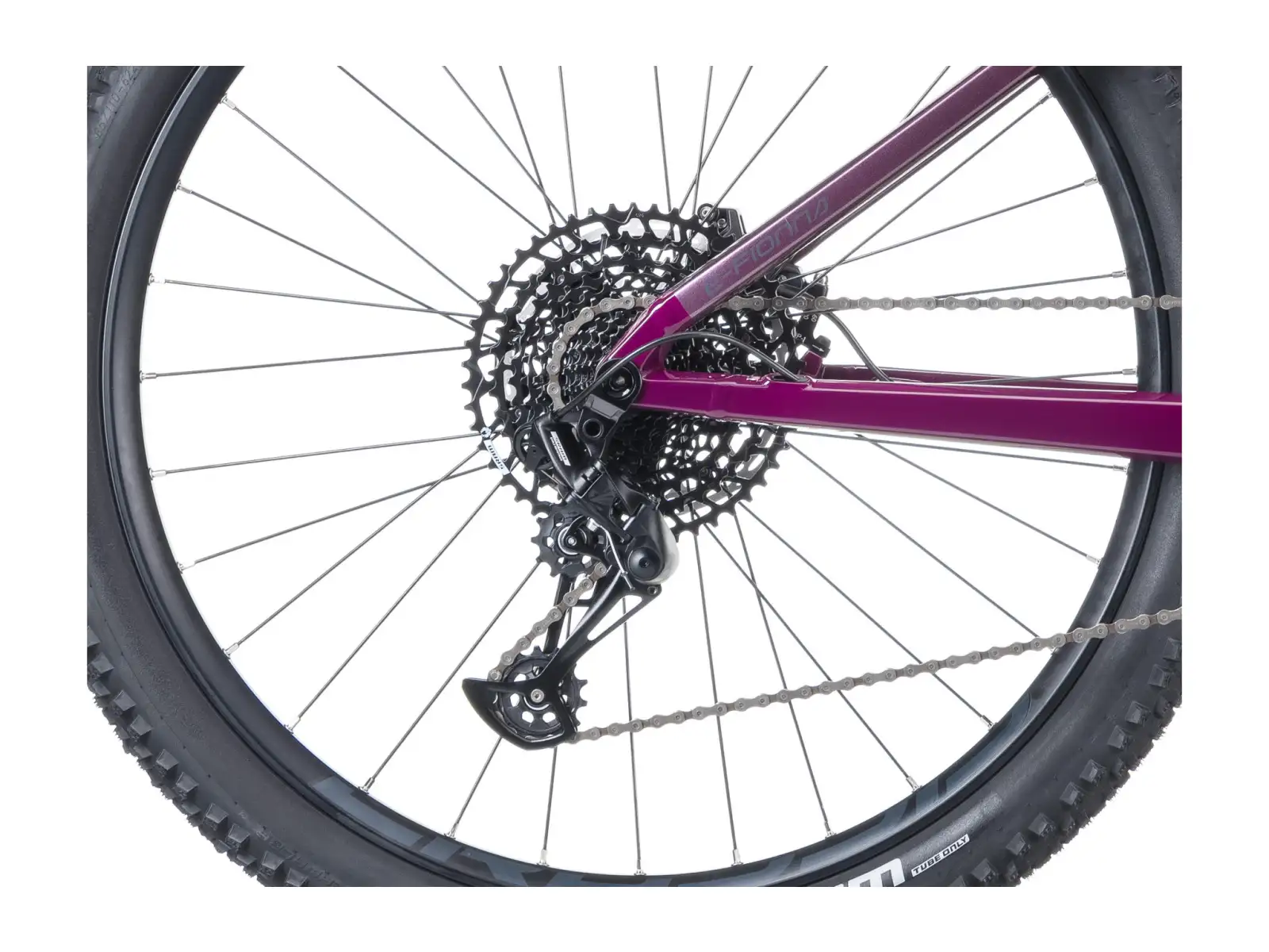 Crussis e-Fionna AX 9.12-M2S(600) Mountain-E-Bike