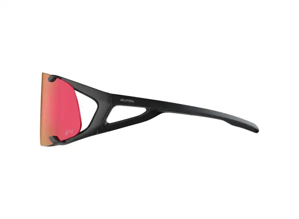 Alpina Hawkeye QV Brille Black Matt