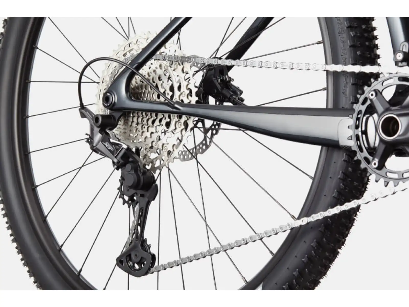 Cannondale Scalpel HT Carbon 4 BPL Mountainbike