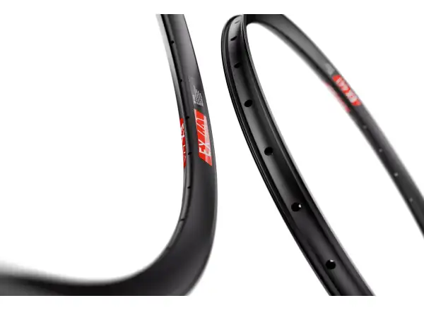 DT Swiss EX 441 27,5" MTB Felge schwarz