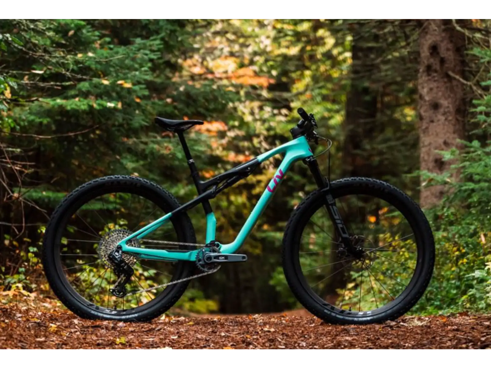 Liv Pique Advanced 1 Mountainbike Lake Green / Black