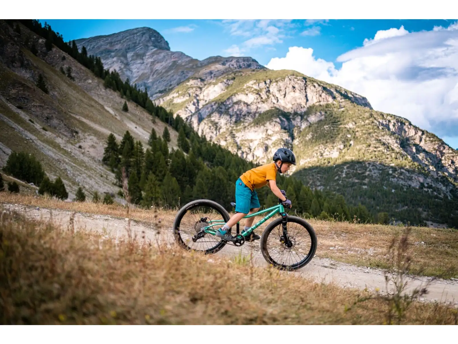 Rascal Wild 24 Kinderfahrrad Emerald