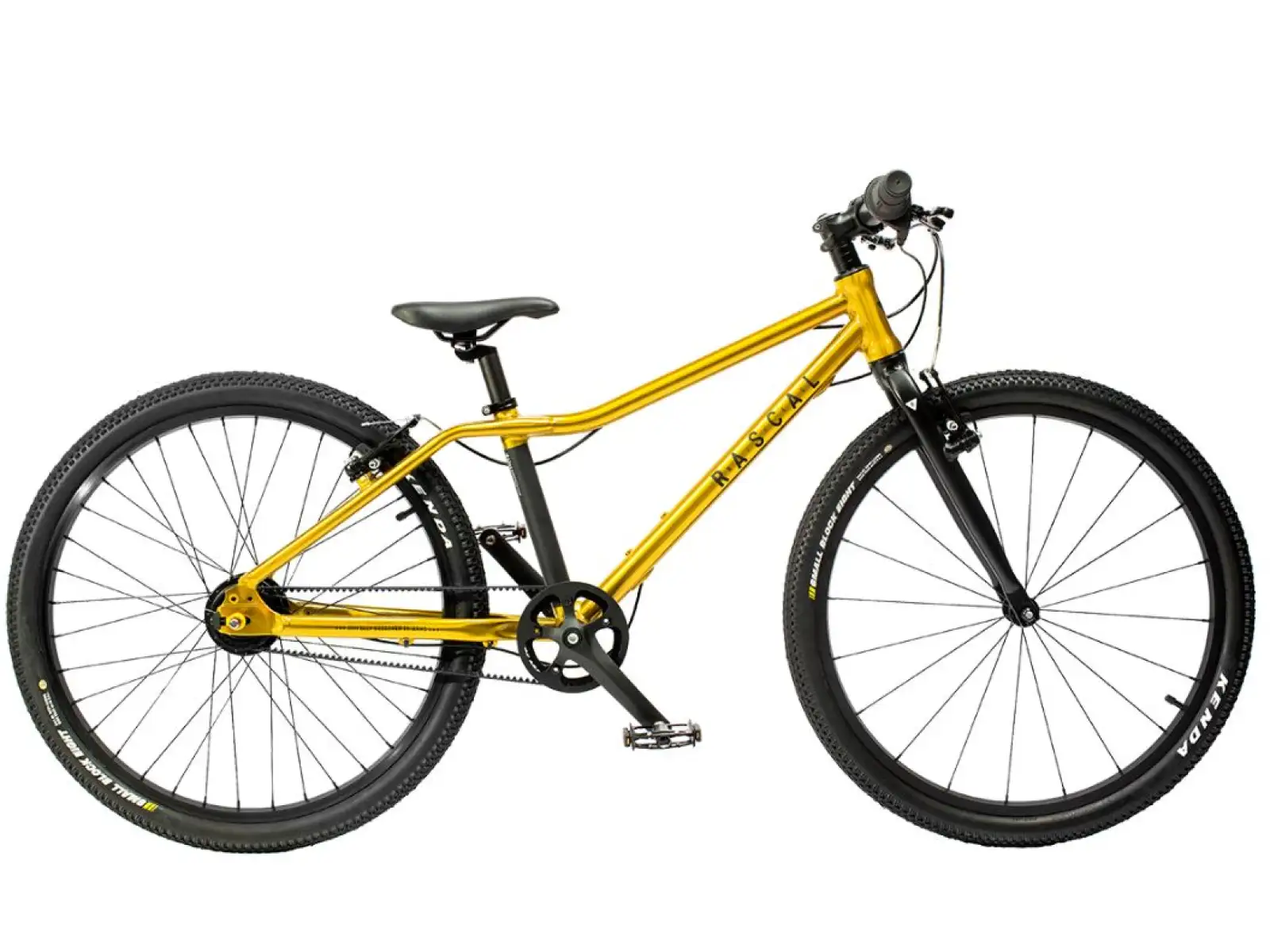 Rascal 24 7 sp. Kinderfahrrad mit Shimano Nexus in Gold