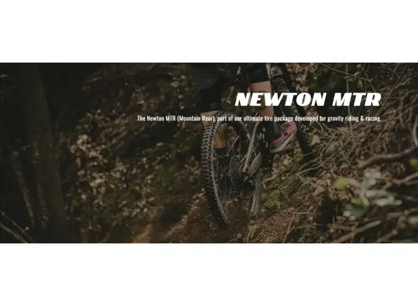 Goodyear Newton MTR Downhill Tubeless Komplett 27,5x2,60" MTB Reifen Kevlar