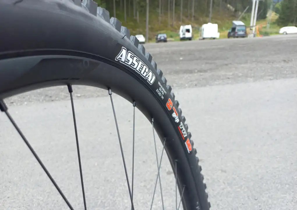Schutz, Haftung und Geschwindigkeit: Test von Maxxis MTB-Reifen