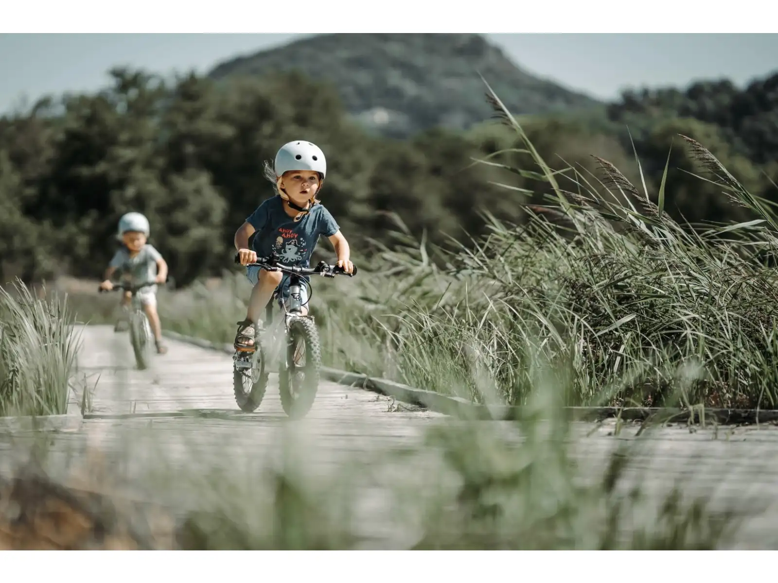 Early Rider Seeker 14 Kinderfahrrad Sage Green