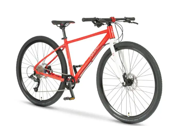 Beany Zero 29 Kinderfahrrad Red