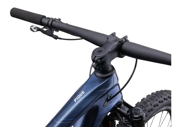 Liv Pique Advanced 29 3 Mountainbike Ice Age