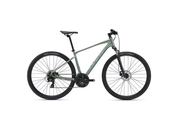 Gaint Roam 4 Disc Trekkingrad Misty Forest