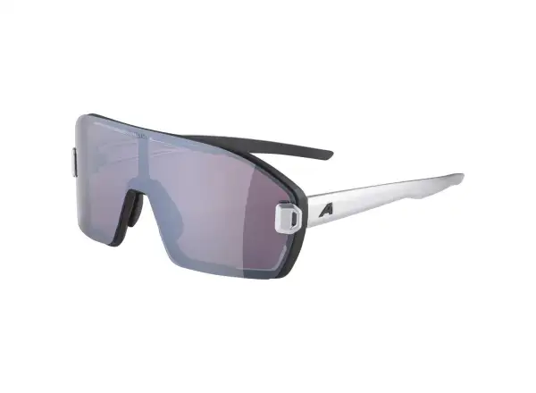 Alpina Bonfire Mag Q Brille Black Matt